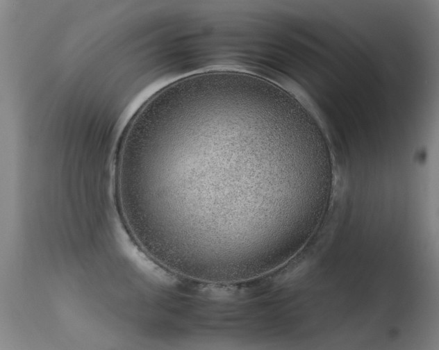 X0000113260955200909171646