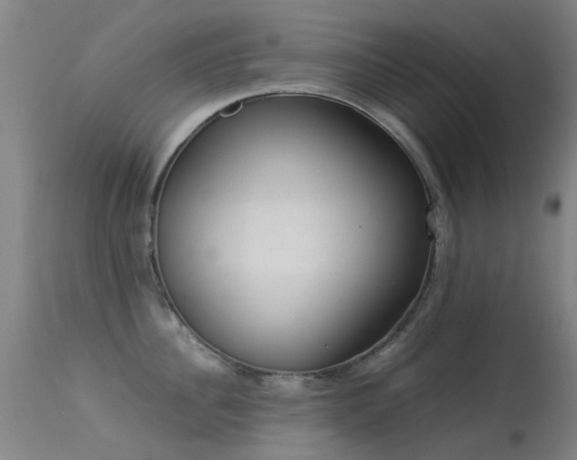 X0000113260956200909171646