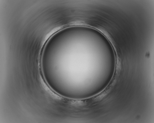 X0000113260957200909171646