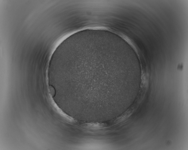 X0000113260959200909171646