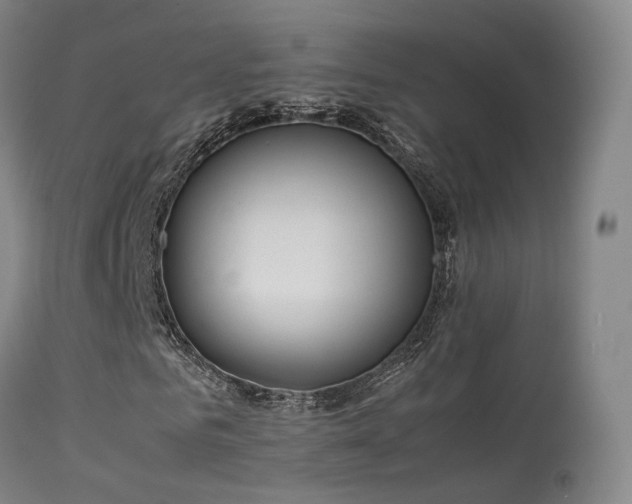 X0000113260961200909171646