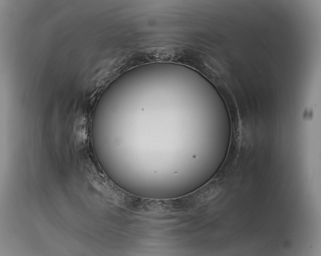 X0000113260962200909171646