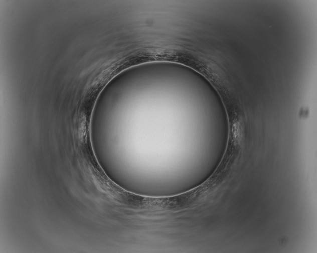 X0000113260963200909171646