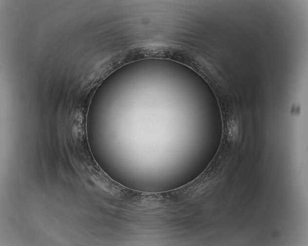 X0000113260964200909171646