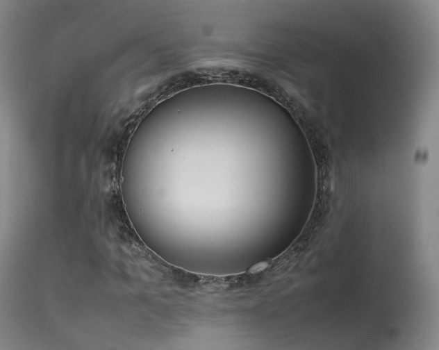 X0000113260965200909171646