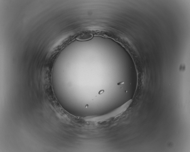 X0000113260968200909171646