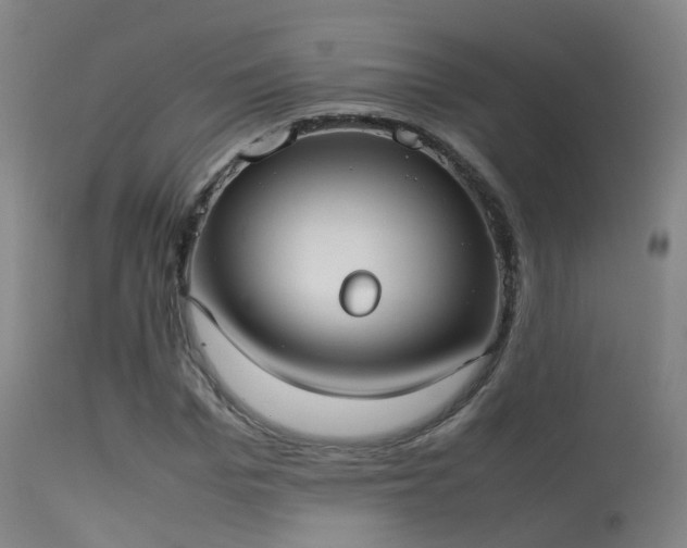 X0000113260969200909171646