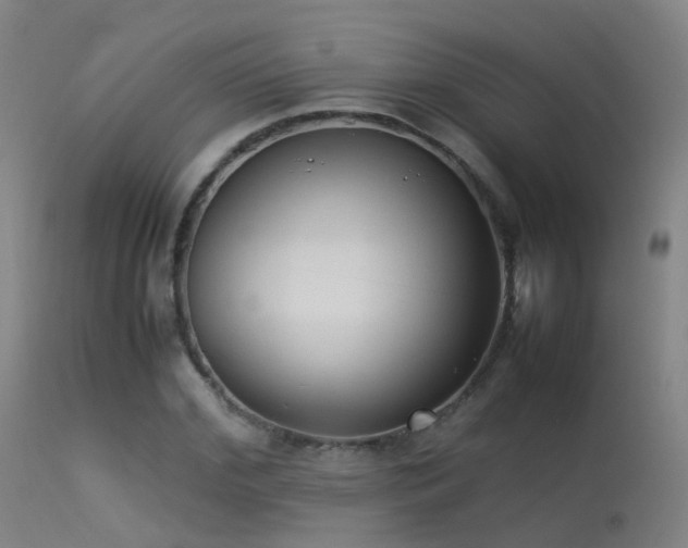 X0000113260972200909171646