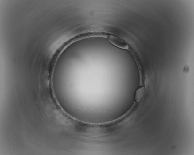 X0000113260973200909171646