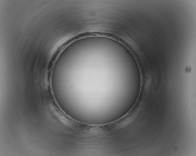 X0000113260974200909171646