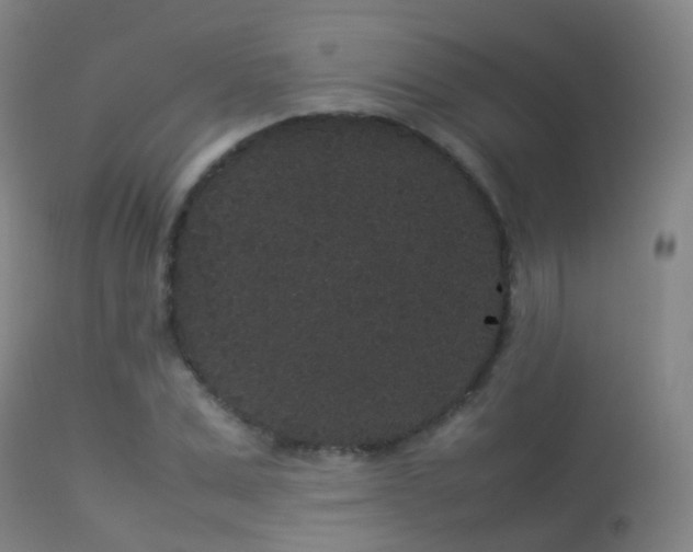 X0000113260975200909171646