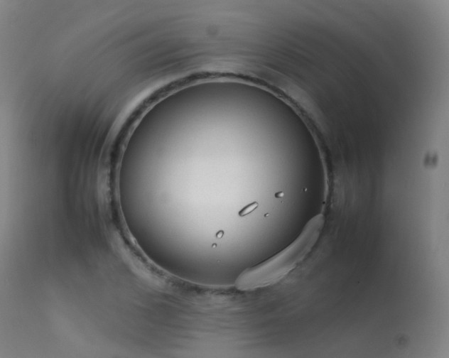 X0000113260976200909171646