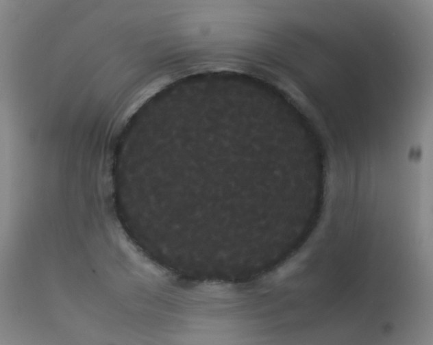 X0000113260977200909171646