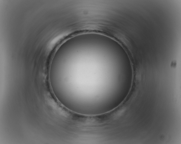 X0000113260979200909171646