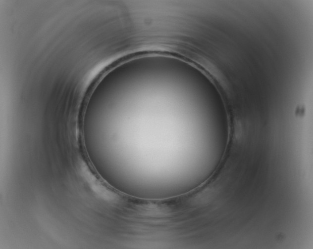 X0000113260980200909171646