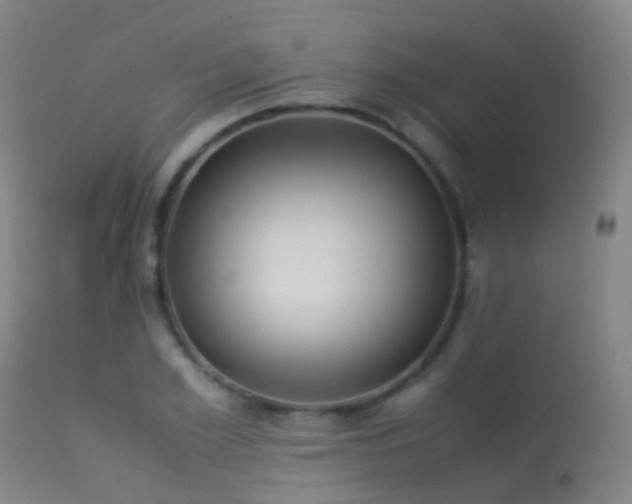 X0000113260981200909171646