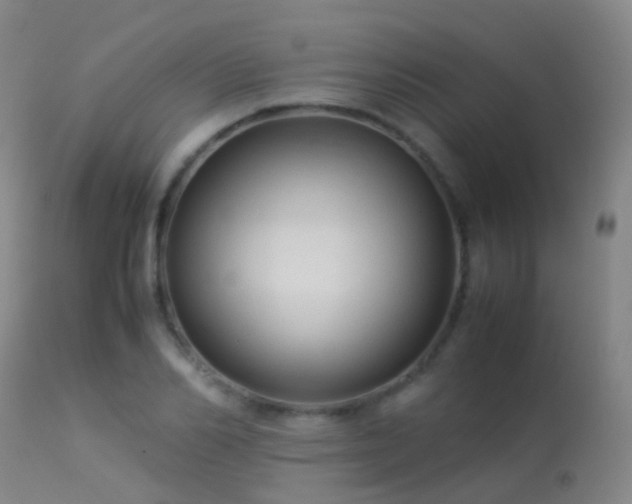 X0000113260982200909171645