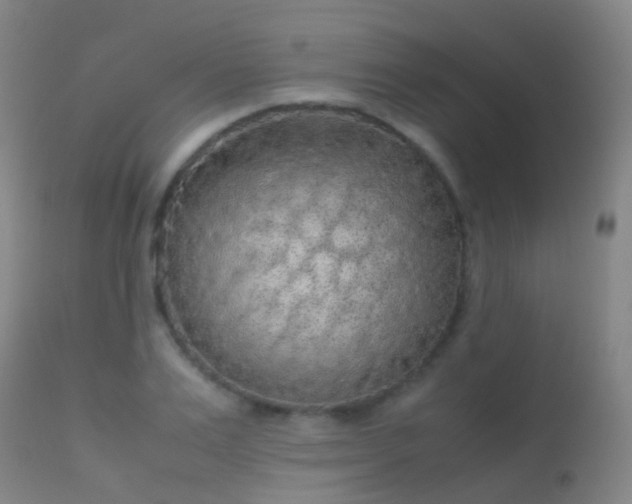 X0000113260983200909171645