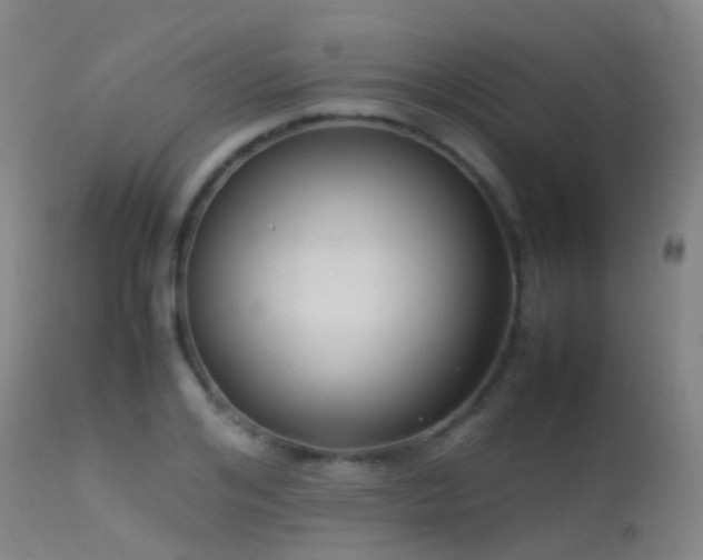 X0000113260984200909171645