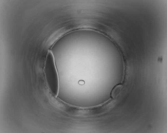 X0000113260985200909171645