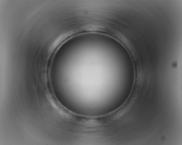 X0000113260986200909171645