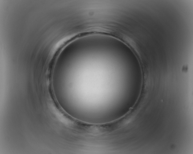 X0000113260987200909171645