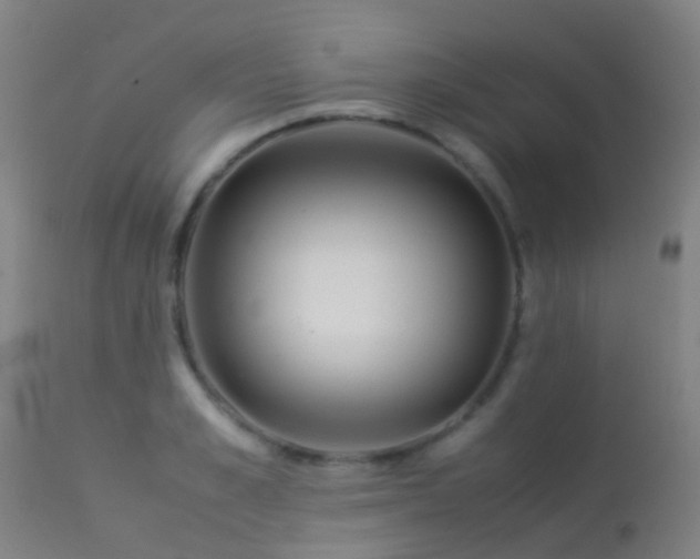 X0000113260989200909171645