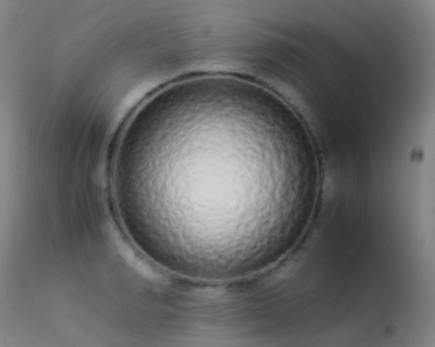 X0000113260990200909171645