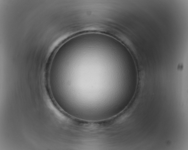 X0000113260991200909171645