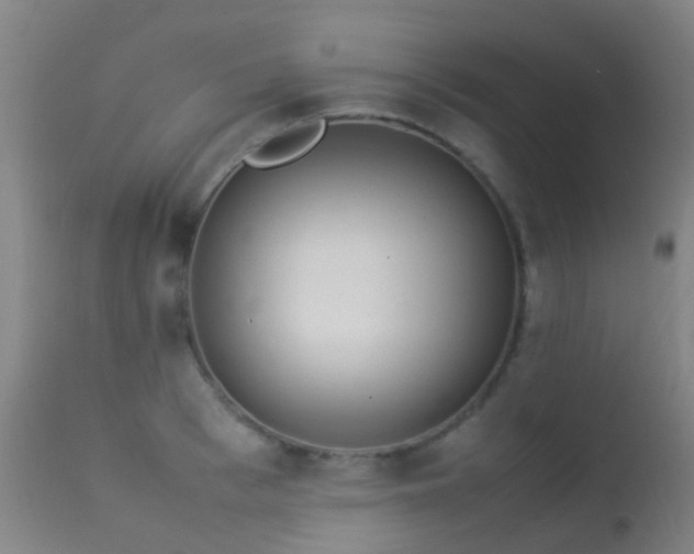 X0000113260993200909171645