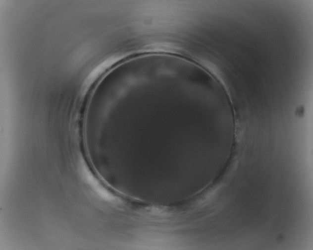 X0000113260995200909171645