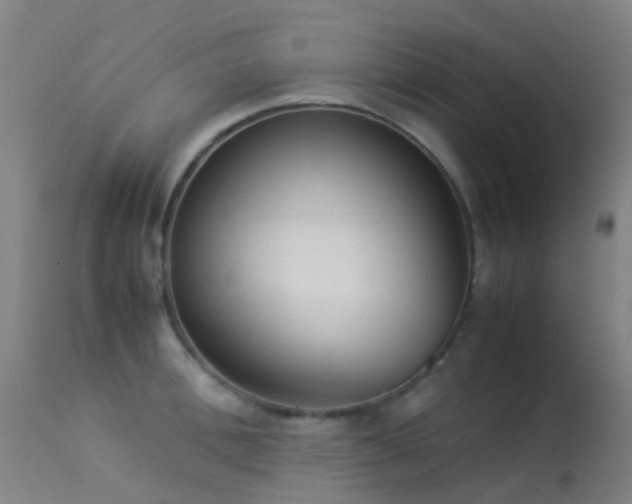 X0000113260996200909171645