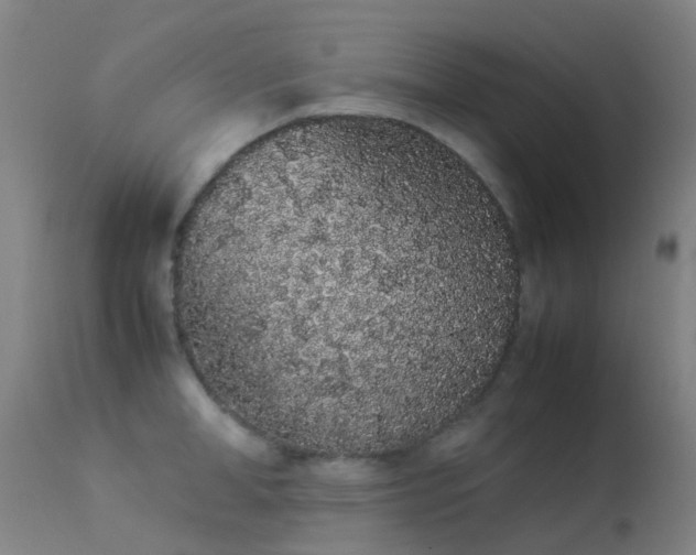 X0000113260998200909171645