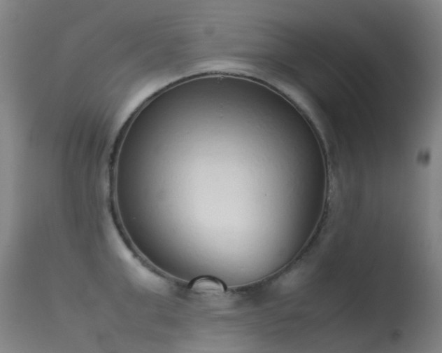 X0000113260999200909171645