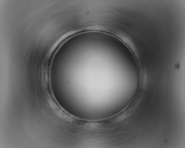 X0000113261000200909171645