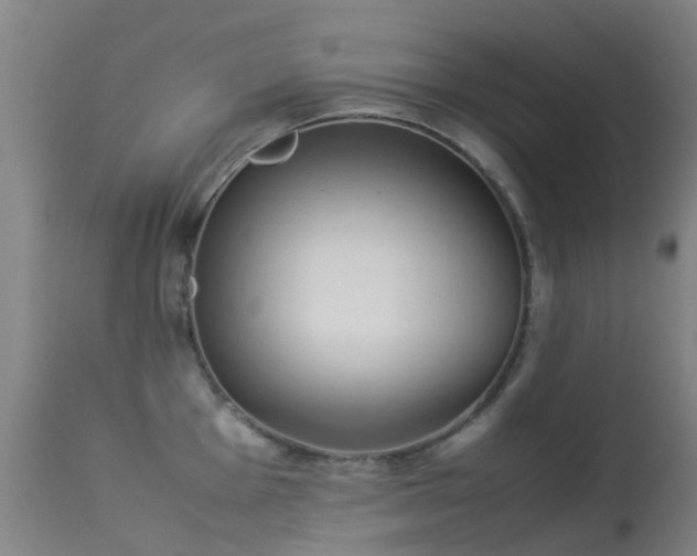 X0000113261001200909171645