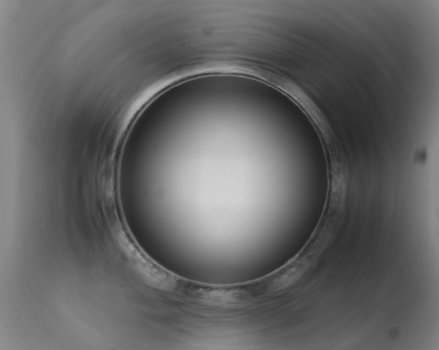 X0000113261004200909171645