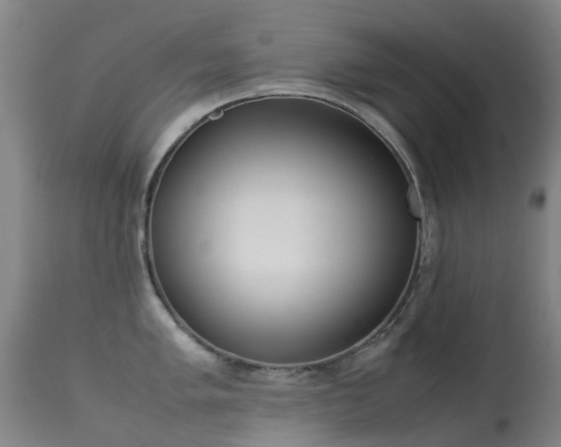 X0000113261005200909171645