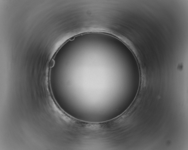 X0000113261006200909171645