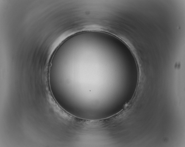 X0000113261008200909171645