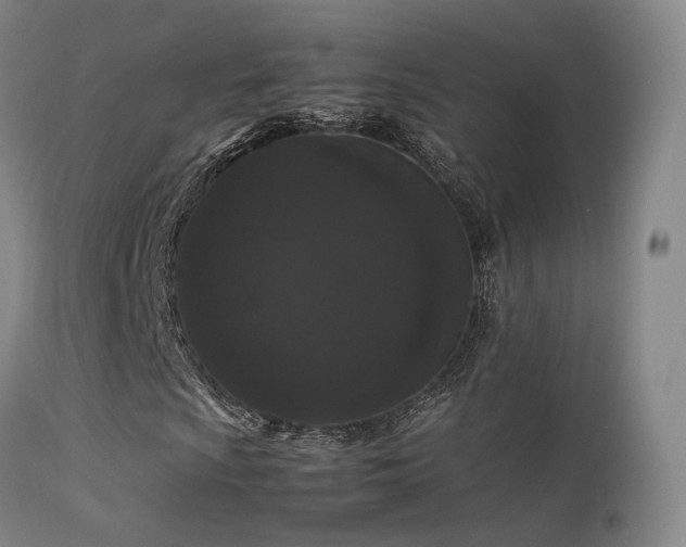 X0000113261009200909171644