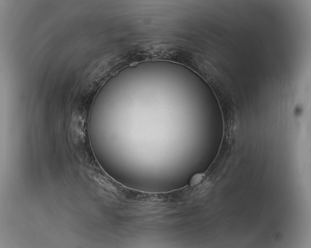 X0000113261010200909171644