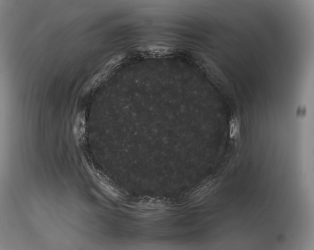 X0000113261011200909171644