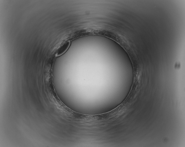 X0000113261012200909171644