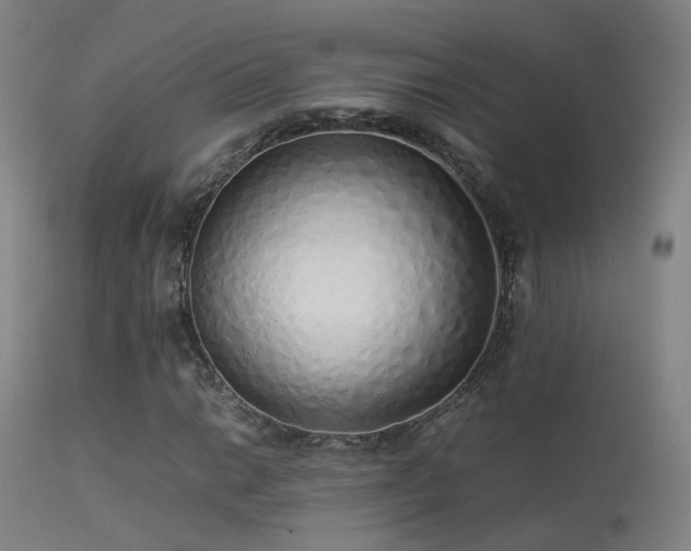 X0000113261014200909171644