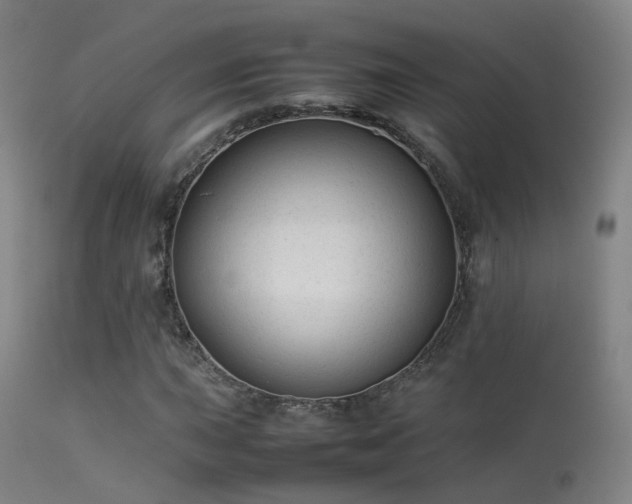 X0000113261015200909171644