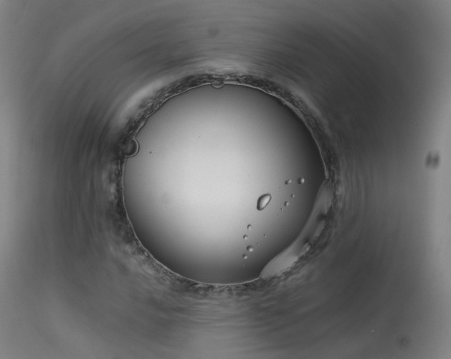 X0000113261016200909171644