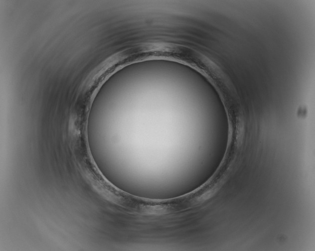 X0000113261017200909171644