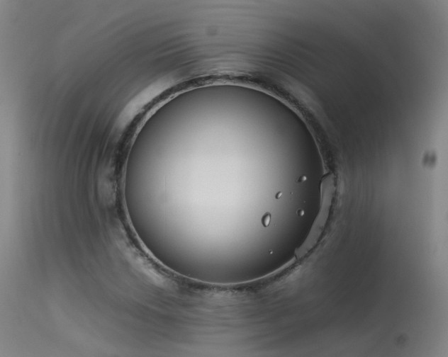 X0000113261018200909171644