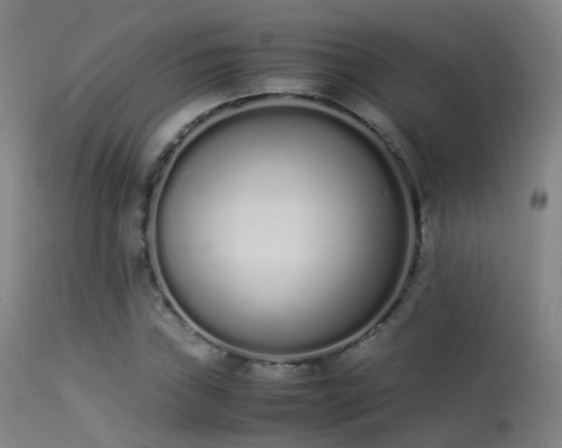 X0000113261019200909171644